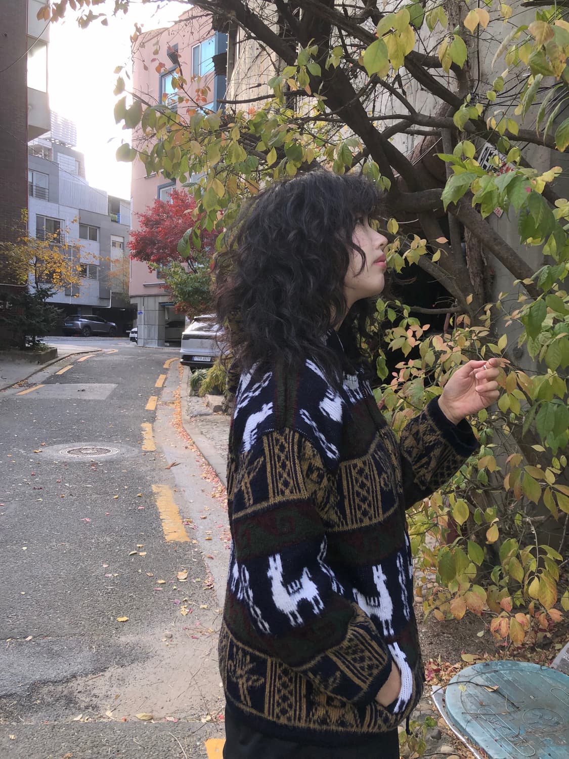 Ruminahui knit 상품이미지5