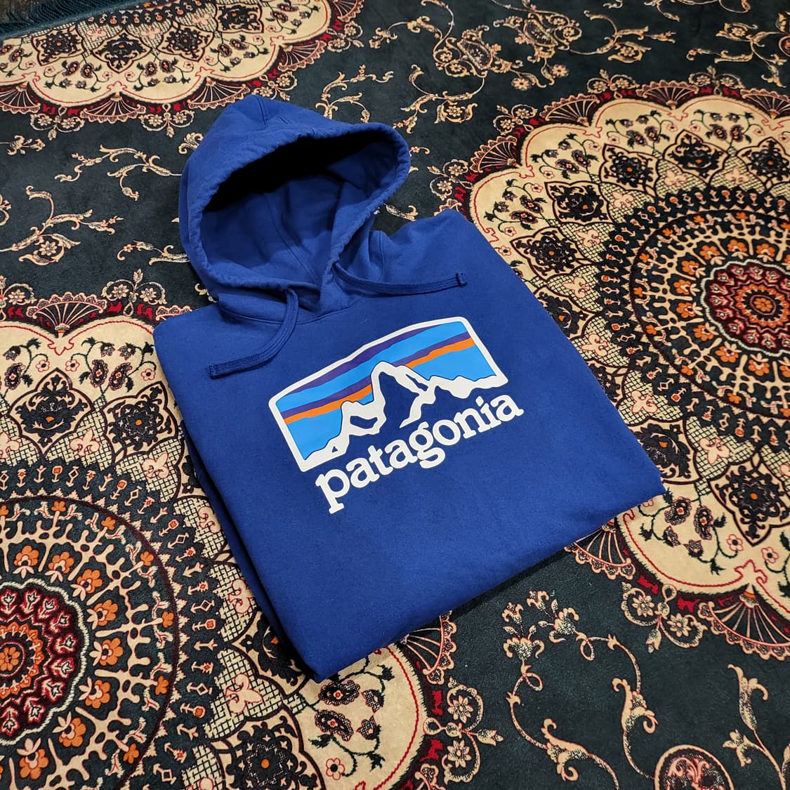 파타고니아 후드티 (L) 상품이미지1