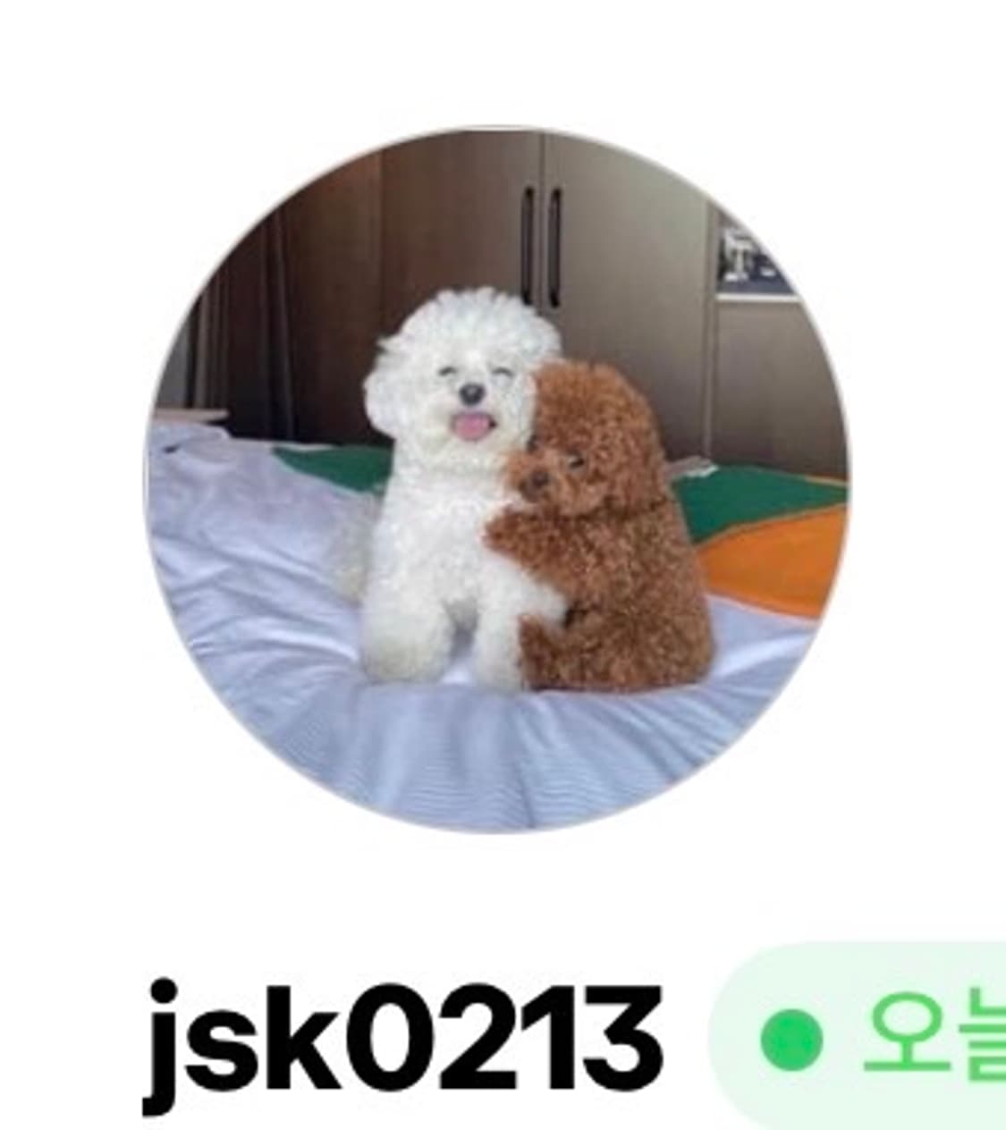 jsk0213 결제창 상품이미지1