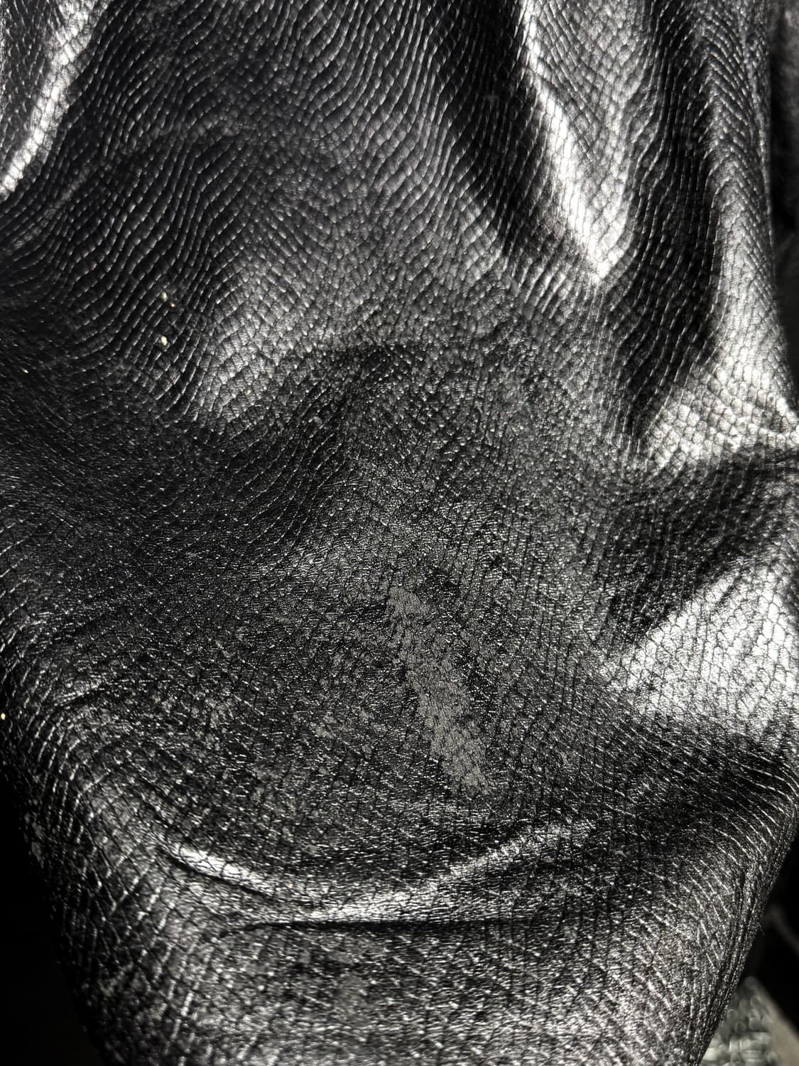 Black Mamba Python Coat 상품이미지10