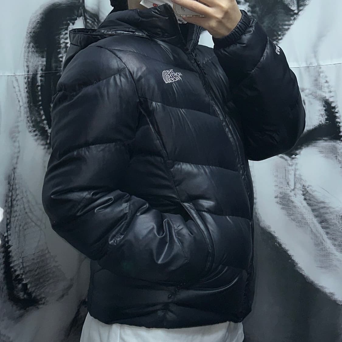 노스페이스 600 고프고어 후디 다운패딩 상품이미지2