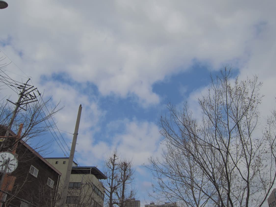 캐논 익서스 310 (ixus310, ixy31s) 빈티지 디카 상품이미지9
