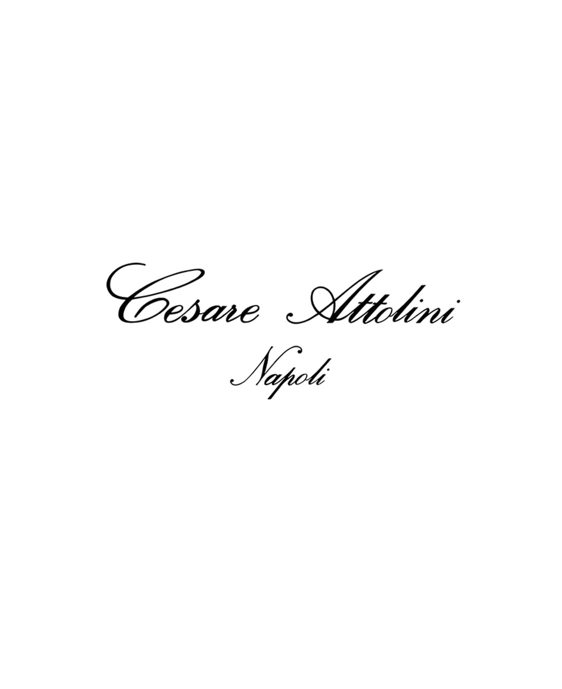 체사레 아톨리니 [Cesare Attolini] 멀티 체크 캐시미어 자켓 상품이미지10