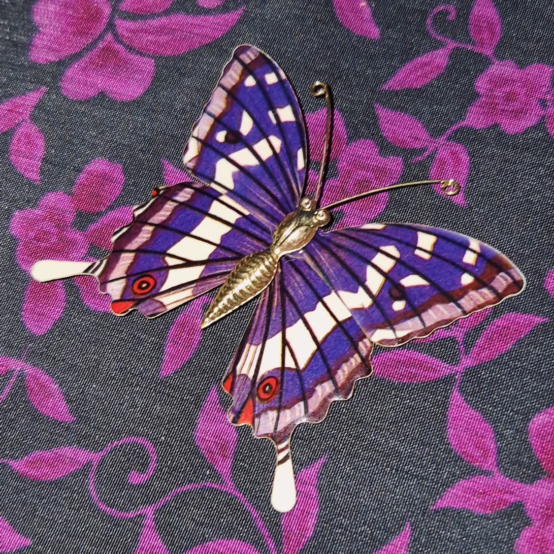 70s 일본 엔틱 황제 나비 빅 브로치 상품이미지6