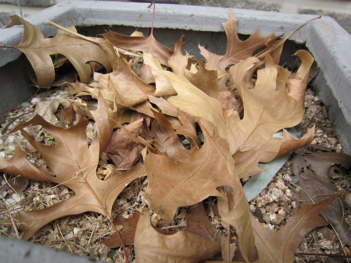 Ixus210 핑크 캐논 익서스210 풀박스 상품이미지7