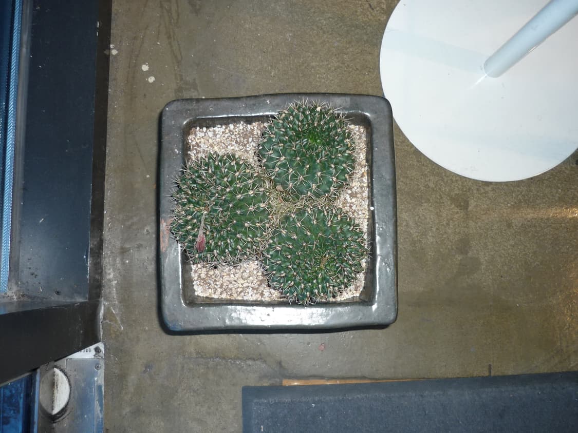 풀박)파나소닉 루믹스 DMC-FS3 실버 빈티지디카 상품이미지9