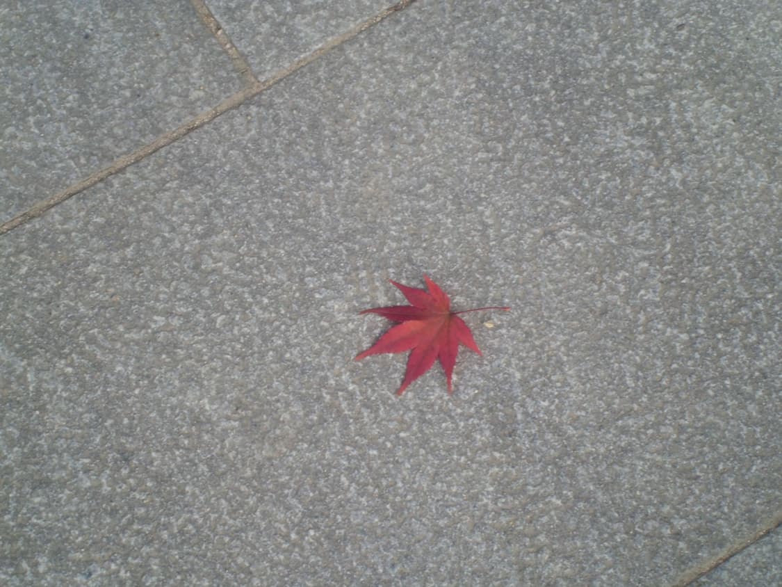 코르티스 엄성현 디카 casio exzs5 exz27 상품이미지10