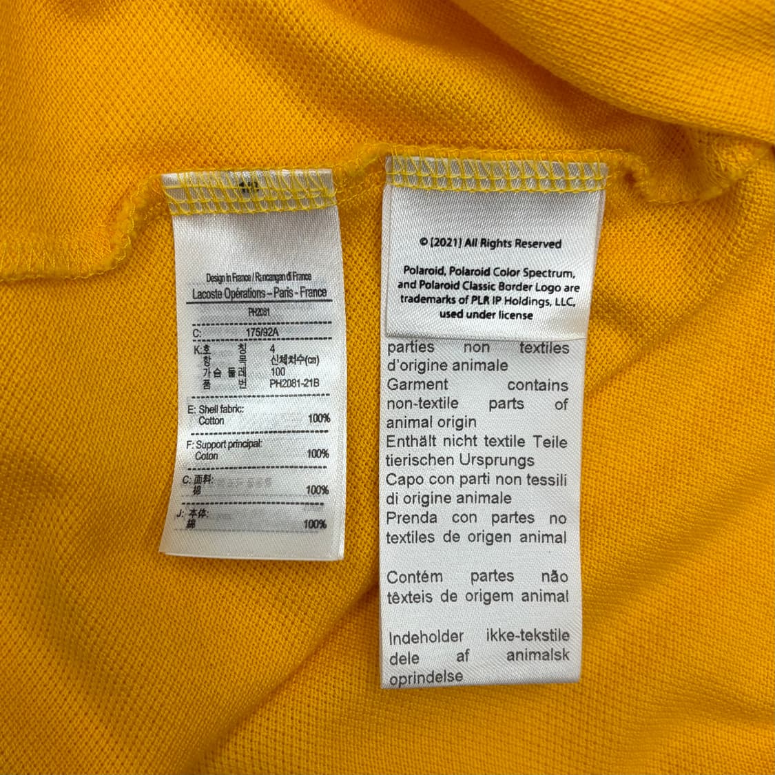 Lacoste x polaroid 라코스테 x 폴라로이드 콜라보 M 상품이미지6