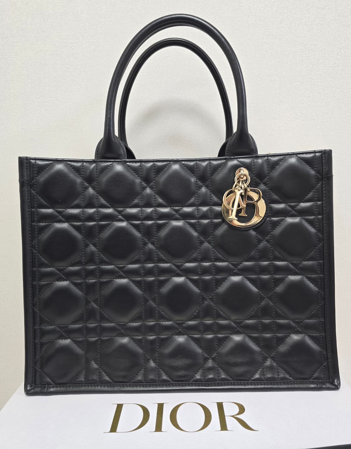 디올 까나쥬 북토트 레더 미디움 판매 상품이미지2