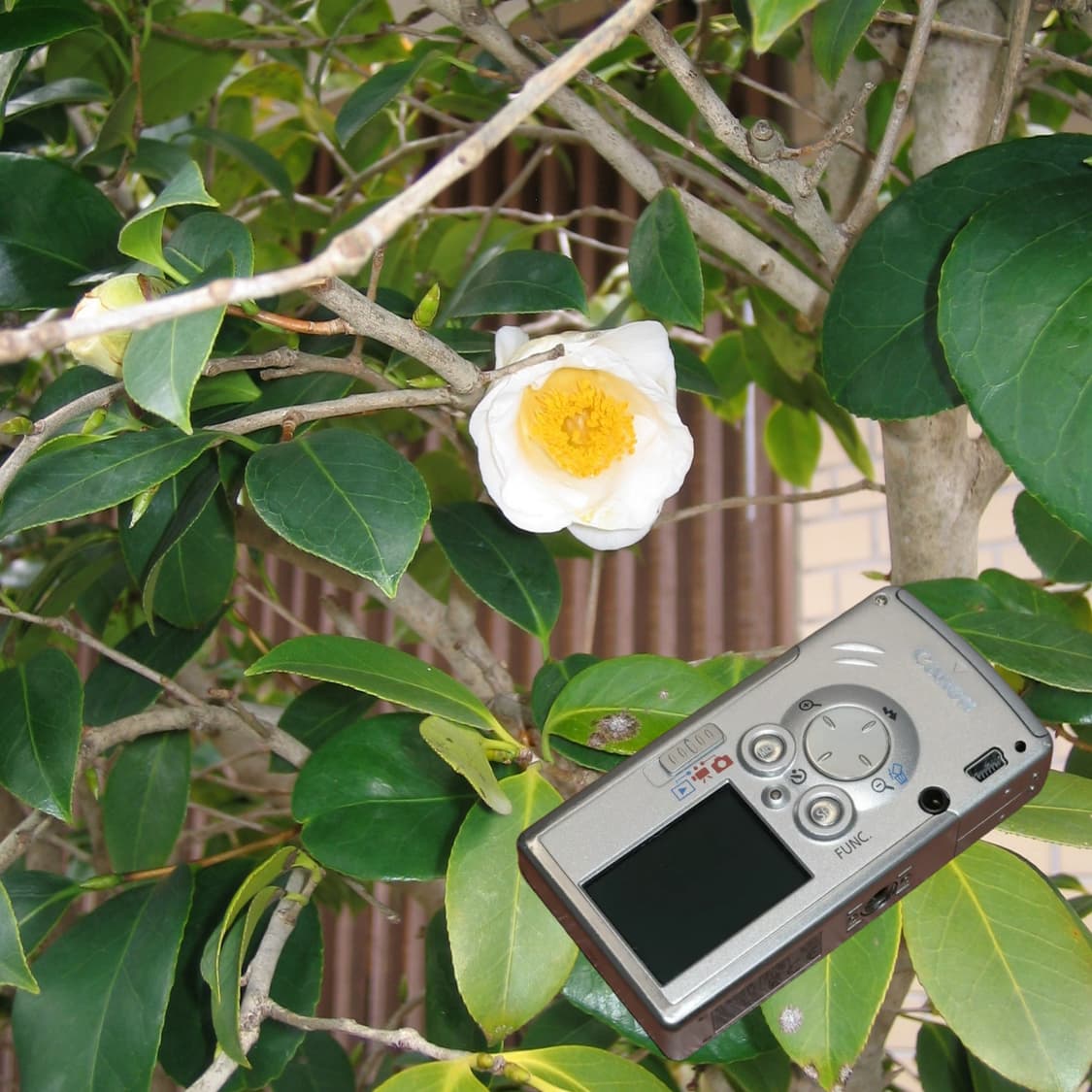 IXY L(✨민트급/🎁풀패키지) 상품이미지5