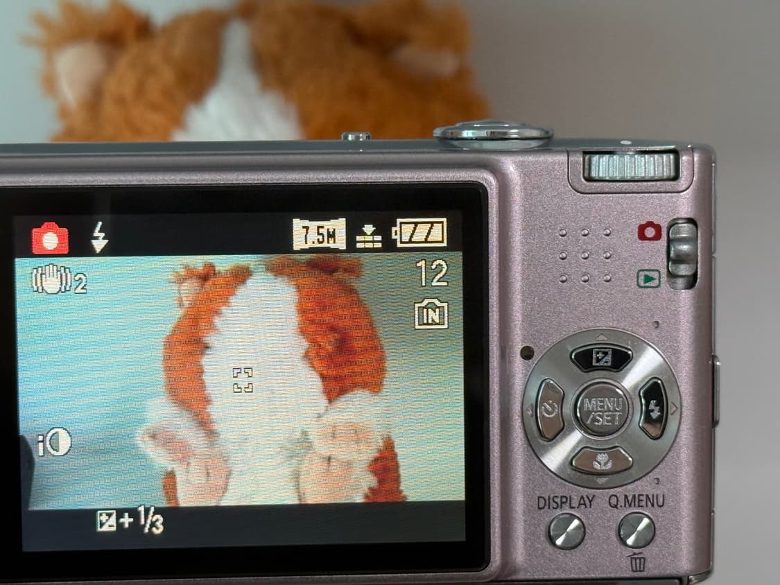 파나소닉 루믹스 DMC-FX35 핑크 디카 상품이미지8