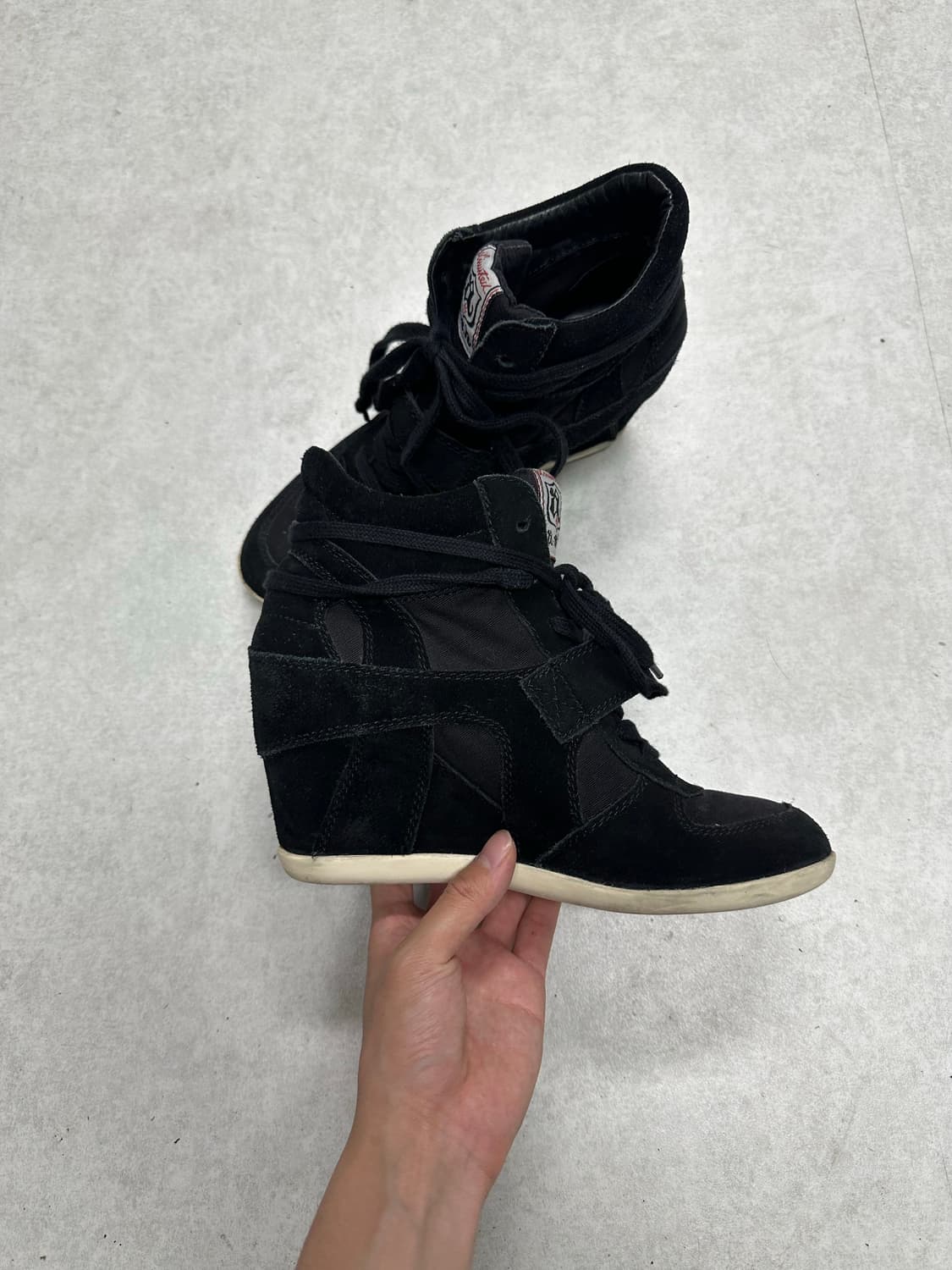 Ash 아쉬 보위 웨지힐 [40] 상품이미지3