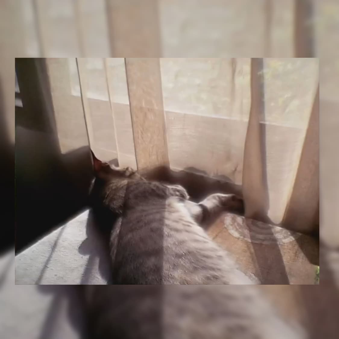 파나소닉 디스냅 SV-AV30 /빈티지 디카 상품이미지10