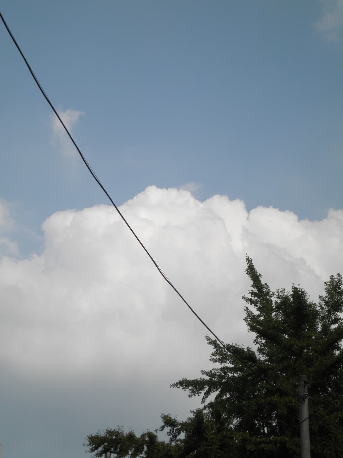 올림푸스 뮤 5010 골드 상품이미지8