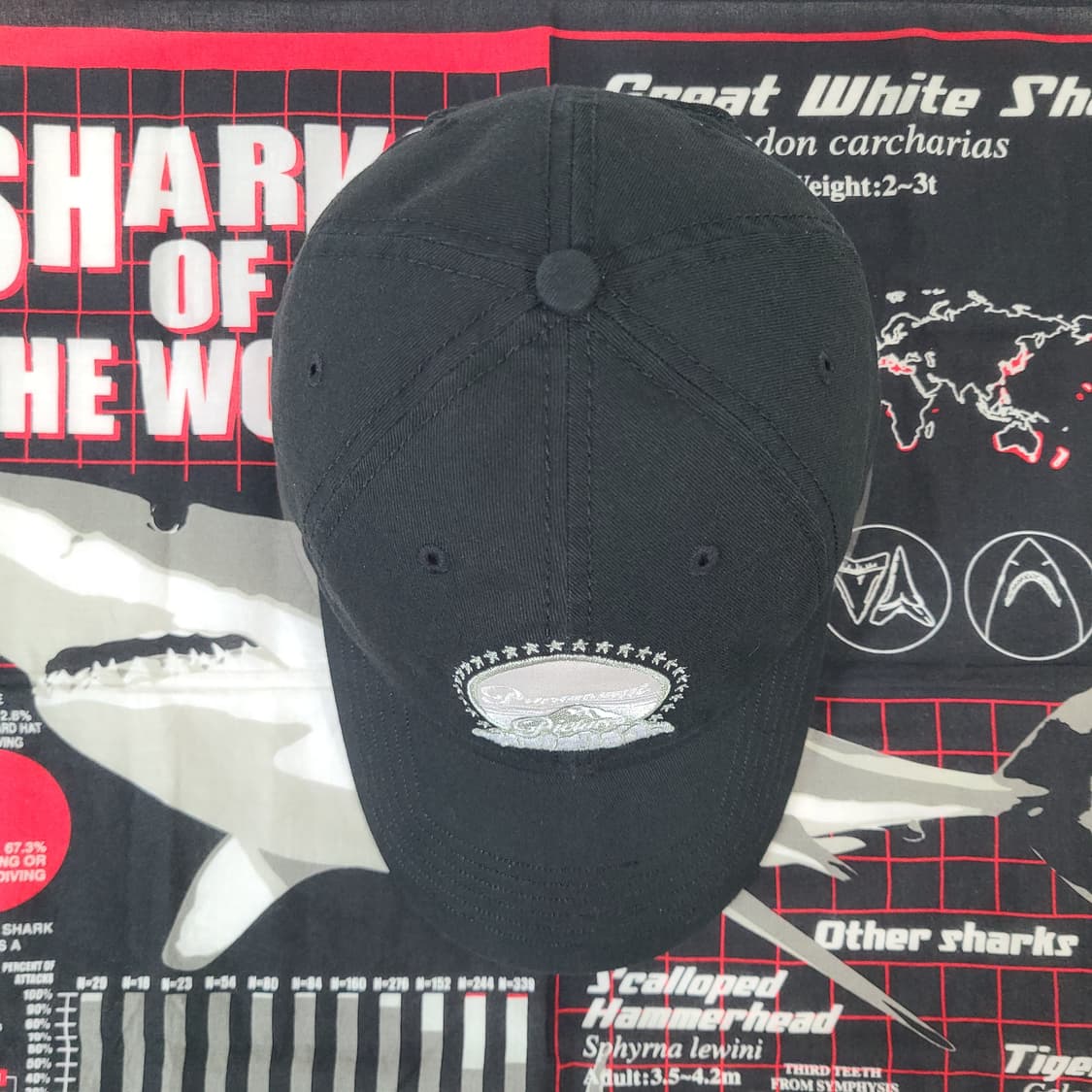 90s~00s 빈티지 파라마운트 픽쳐스 영화사 할리우드 프로모 모자 볼캡 상품이미지4