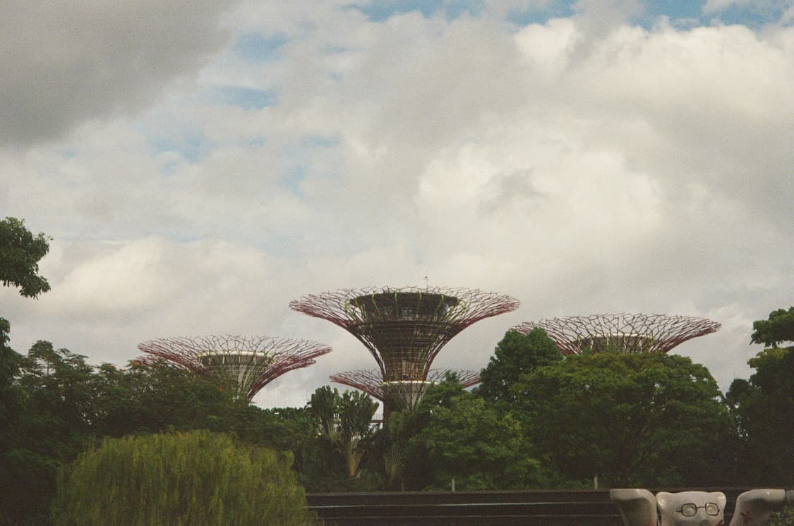 펜탁스 Espio IQ Zoom 90MC 필름 카메라 상품이미지4