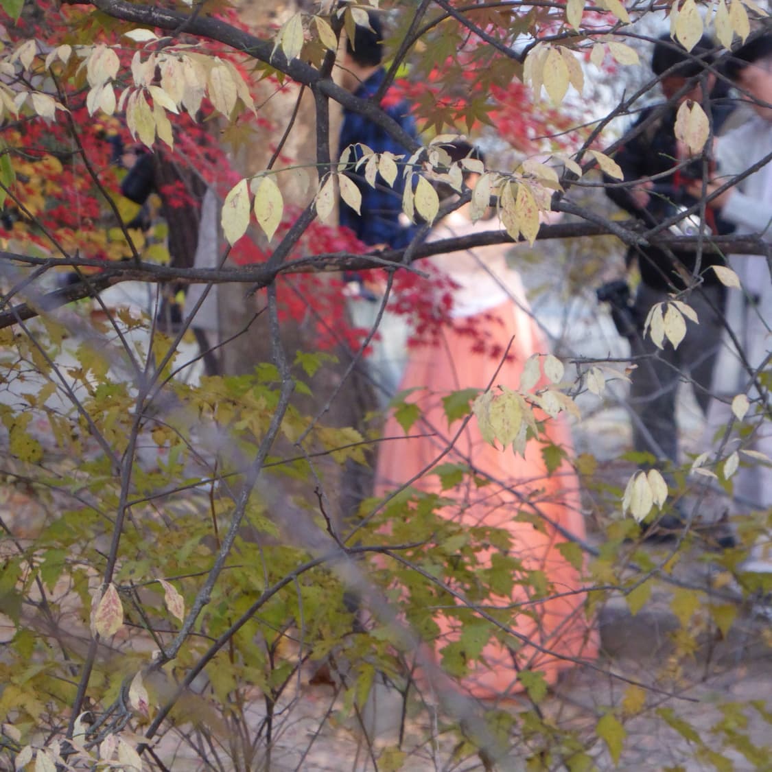 Panasonic TZ40 (✨민트급/라이카) 상품이미지10