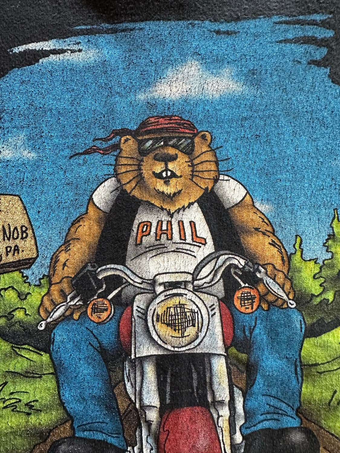 00s harley DuBois Punxsutawney Phil 상품이미지6