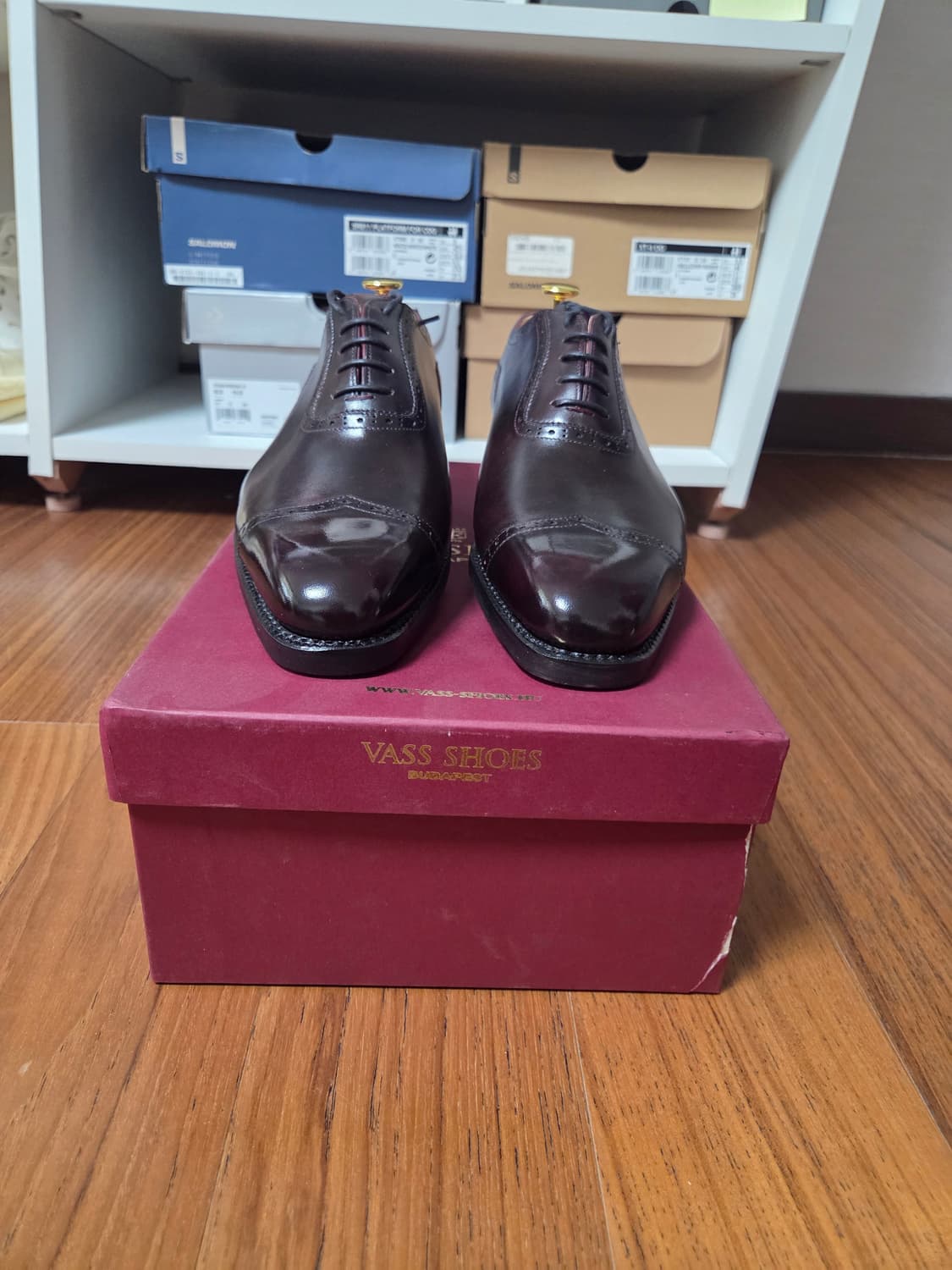 [새싱품] VASS 버건디 남성 구두 상품이미지1