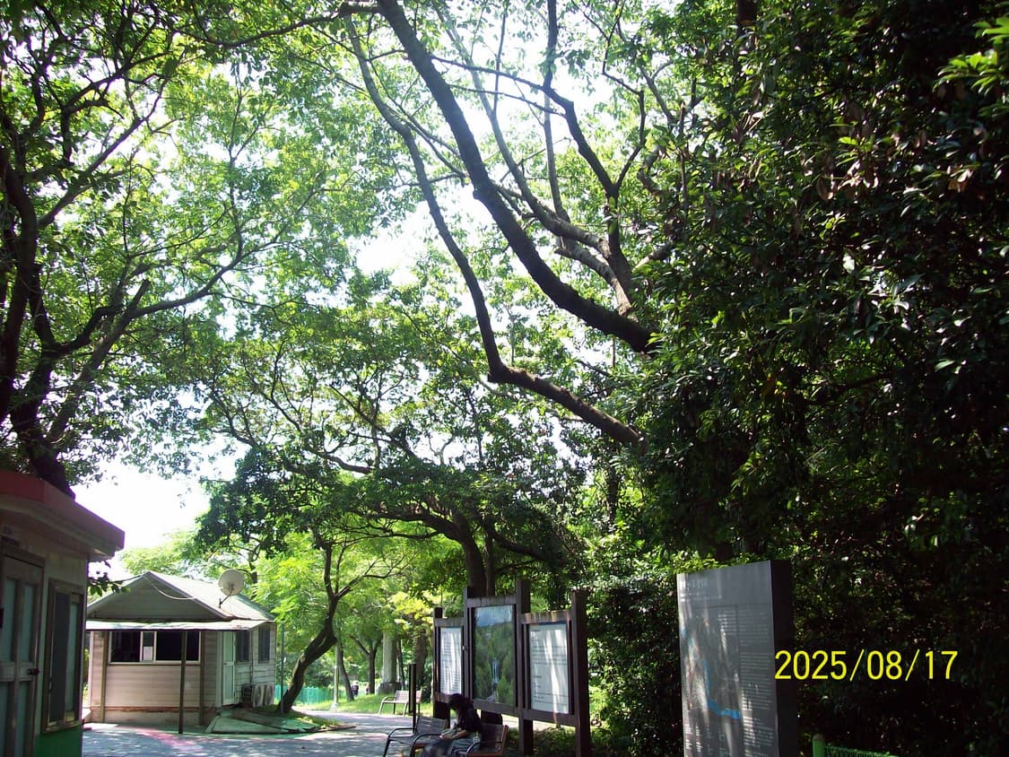 (카리나디카)코닥 c713 판매합니다 상품이미지4