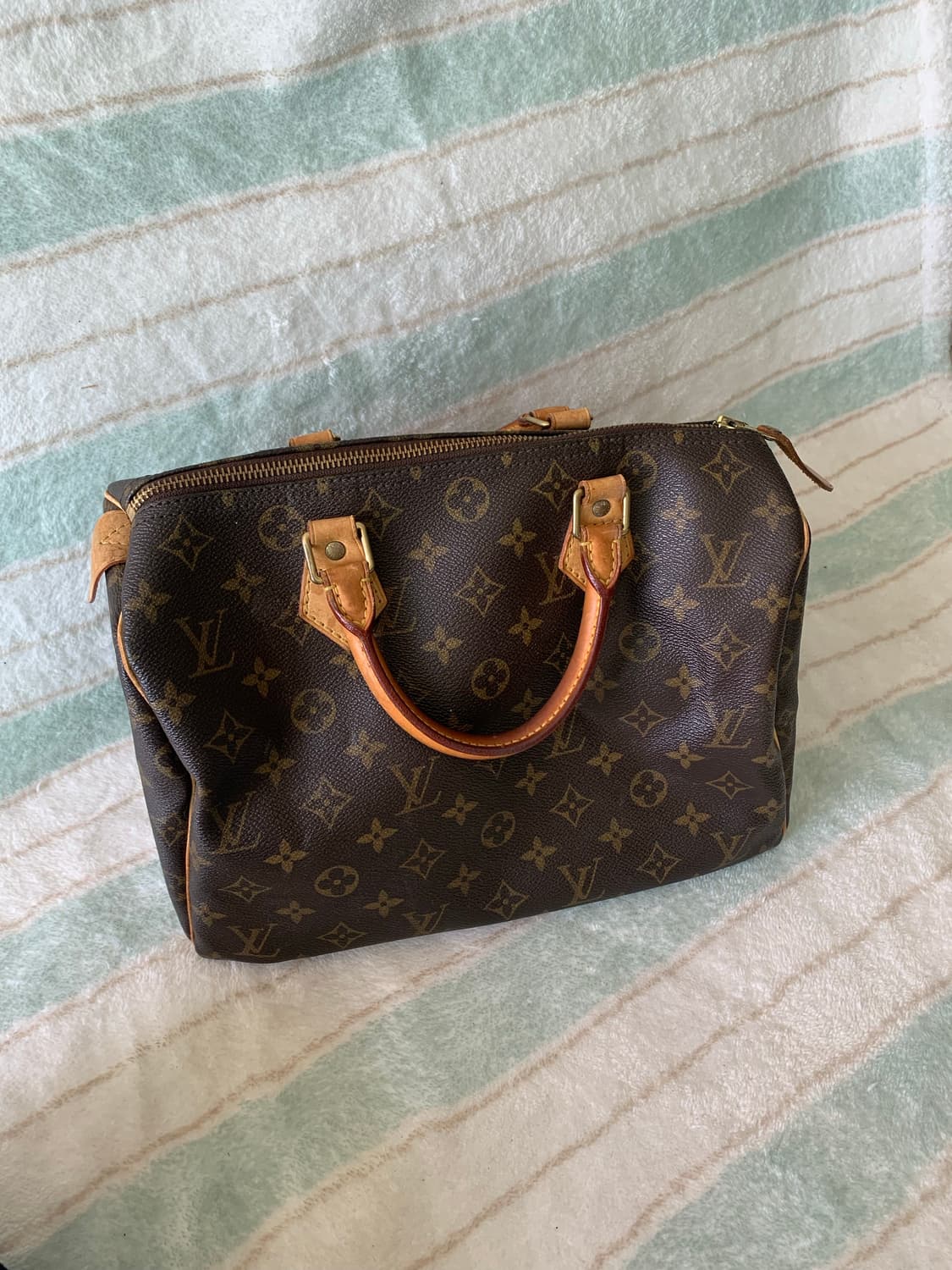 루이비통 스피디 30 상품이미지3