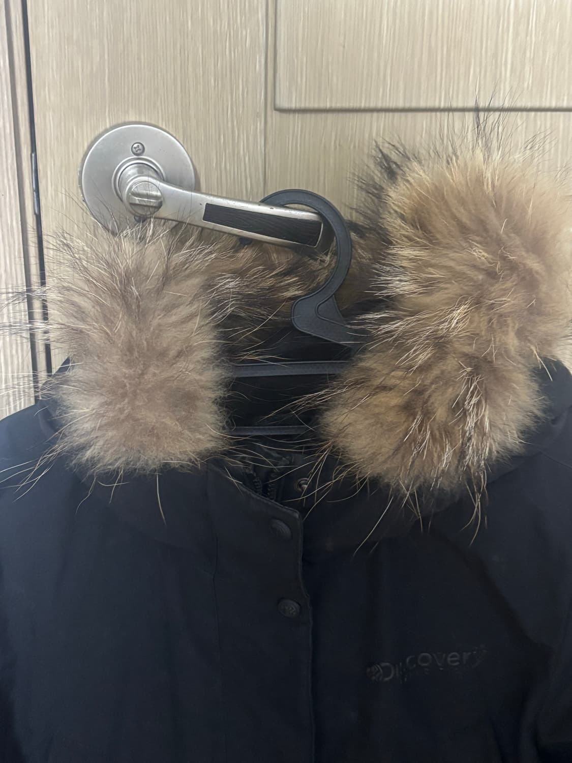 디스커버리 익스페디션 덕다운 블랙 100 상품이미지2