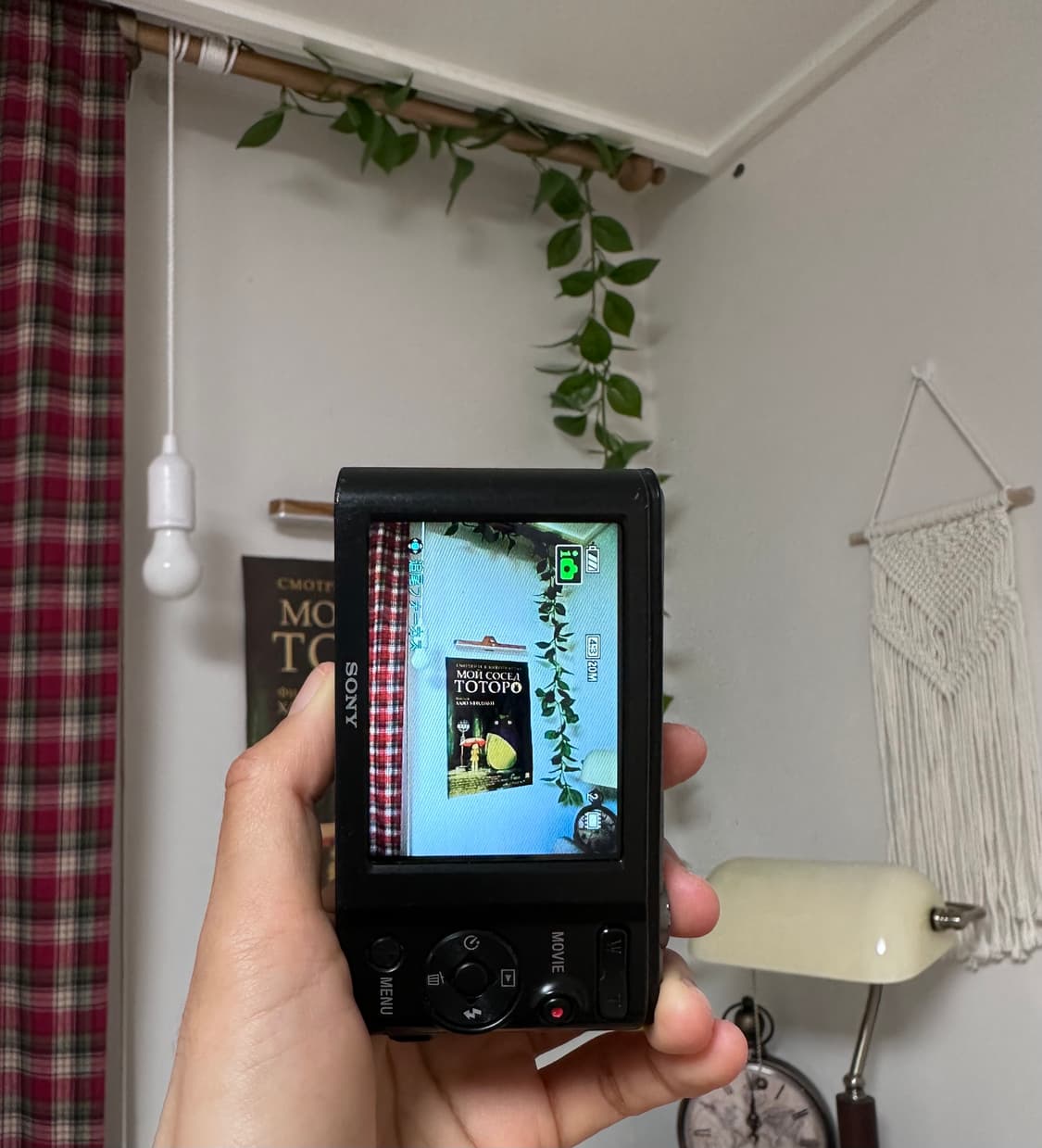 *레이 디카* 소니 사이버샷 w810 디카/디지털카메라 상품이미지3