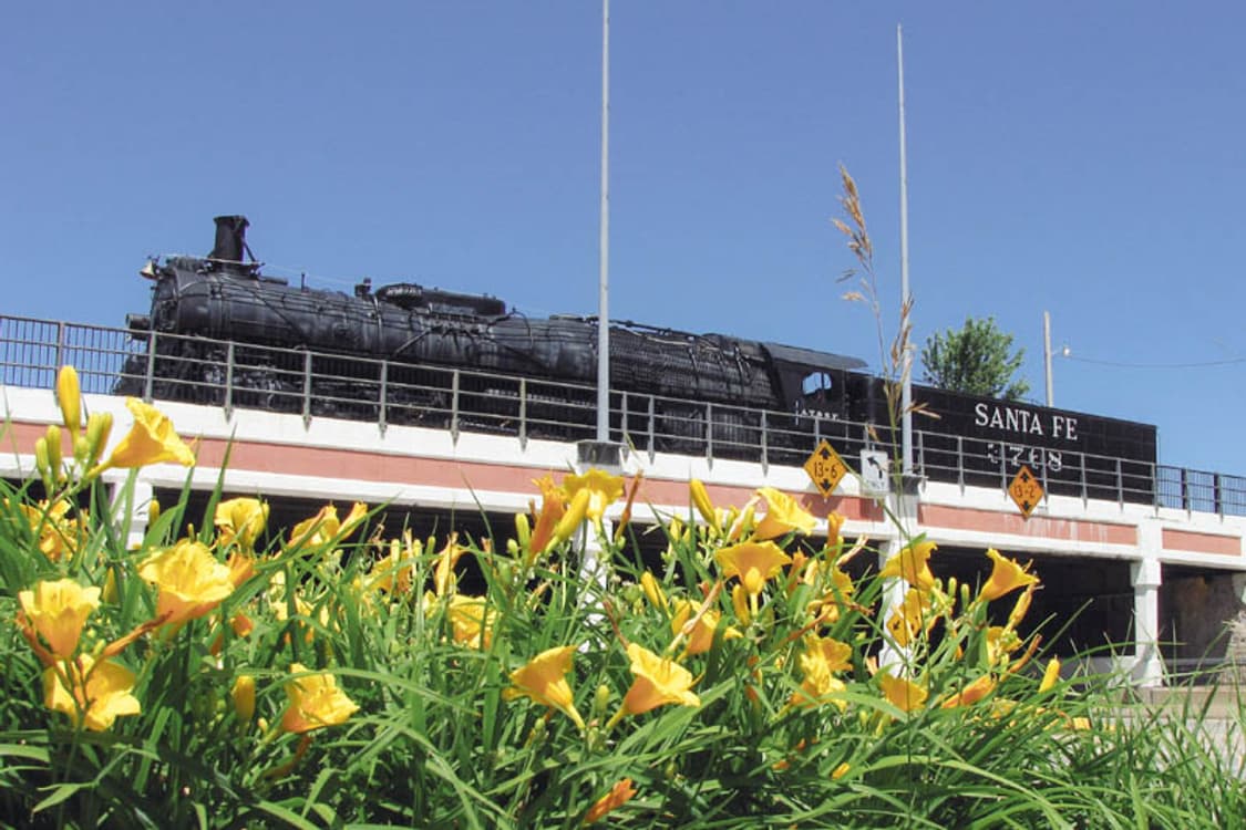 Canon Powershot A810 (캐논 파워샷 A810) 상품이미지8