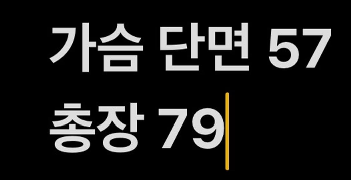 [ XL ] 아디다스 프랑스 축구 국대 반팔 유니폼 b15 상품이미지5