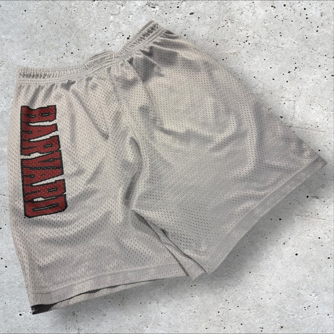 [M] 챔피온 하버드 메쉬 반바지 그레이 D21 상품이미지2