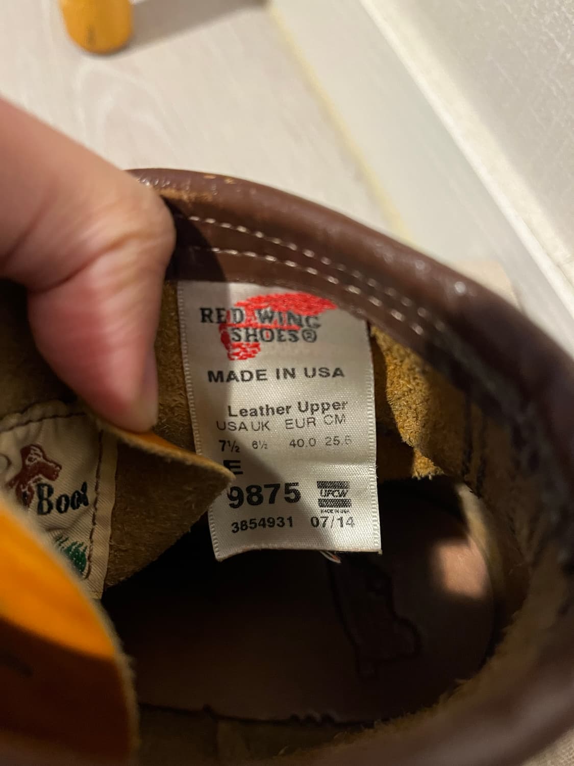 레드윙 아이리쉬세터 상품이미지5