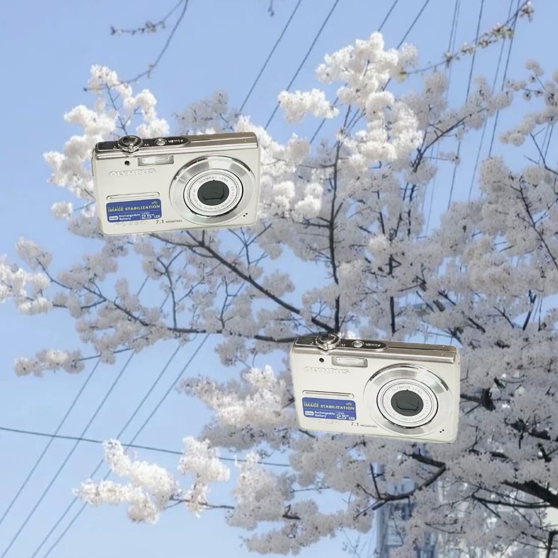 강추!) Olympus FE-230 디카 캠코더 상품이미지1