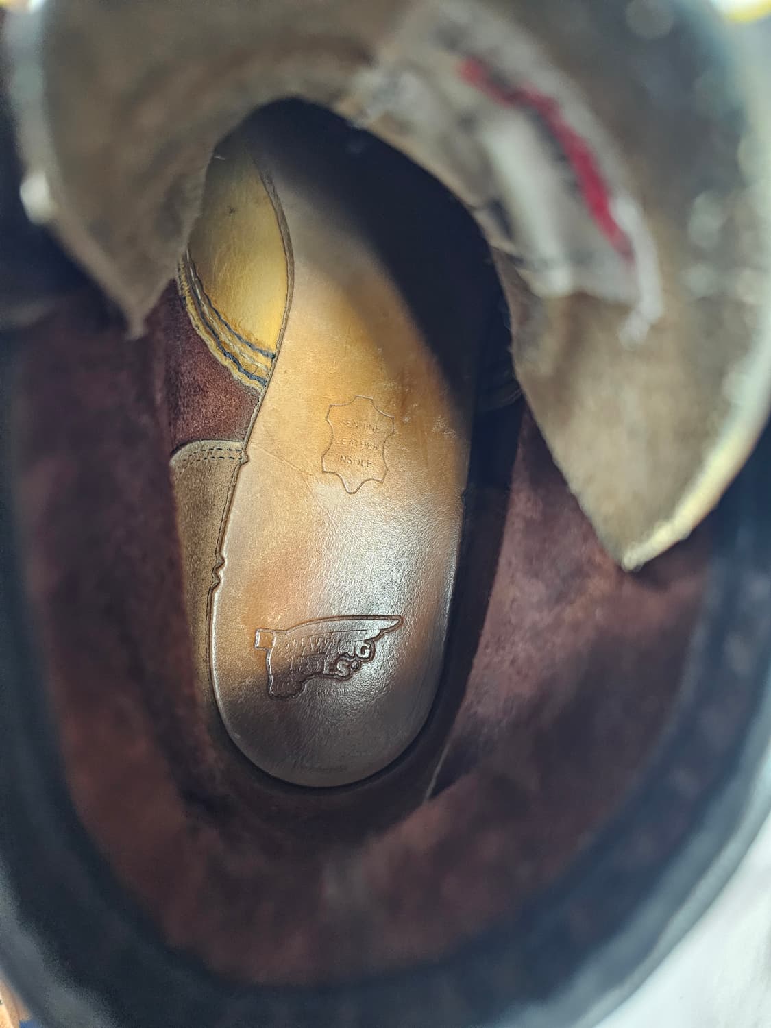 레드윙8138 상품이미지5