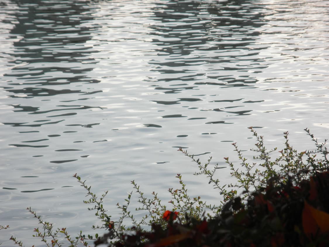 올림푸스 뮤 7050 핫핑크 (작례O) 상품이미지10