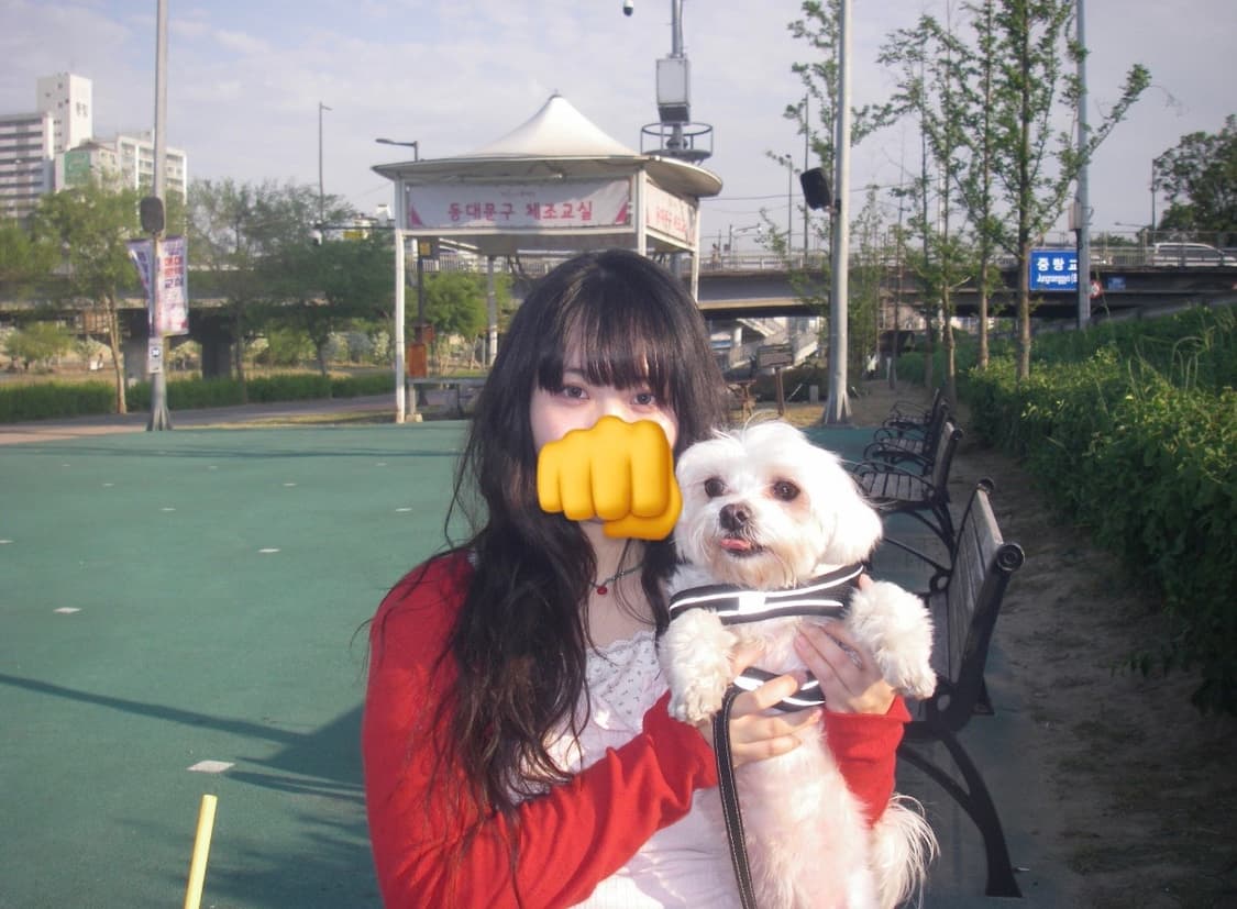 작례있음🩷 풀박스🍎 Pentax Optio W30 상품이미지8