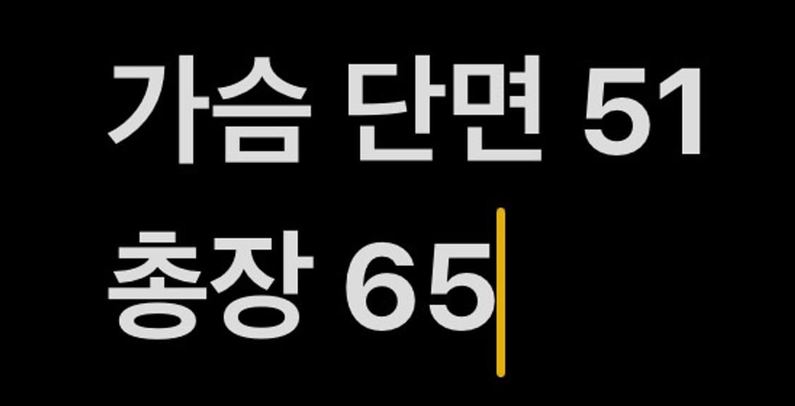[ 정품/5 ] 세인트제임스 엘보 패치 롱슬리브 b16 상품이미지7