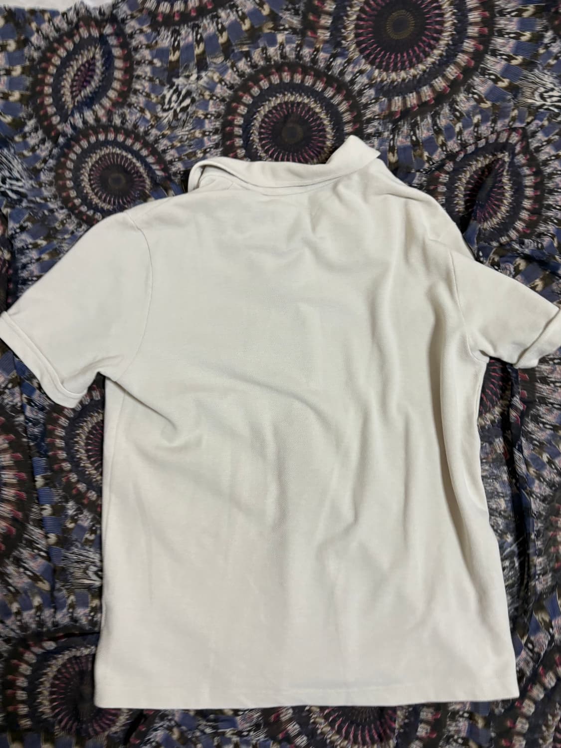 프라다 스포츠 폴로 티셔츠 상품이미지2