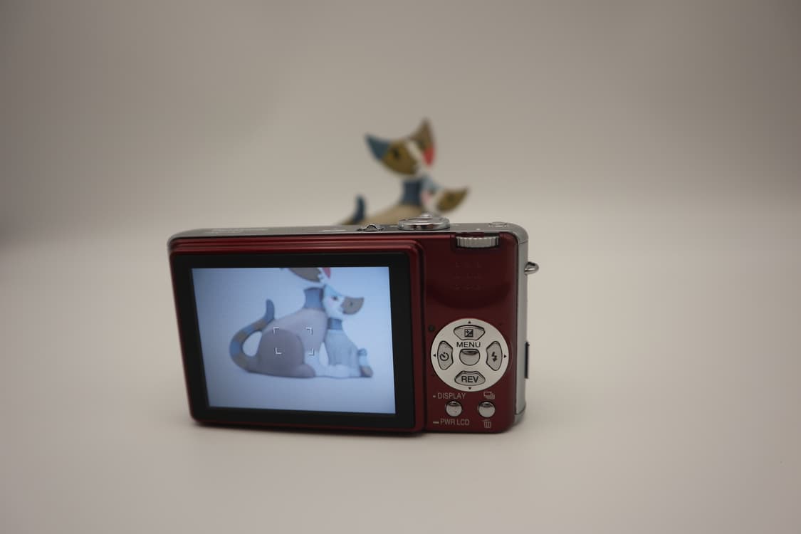 [민트급] 파나소닉 LUMIX DMC-FX7 상품이미지4