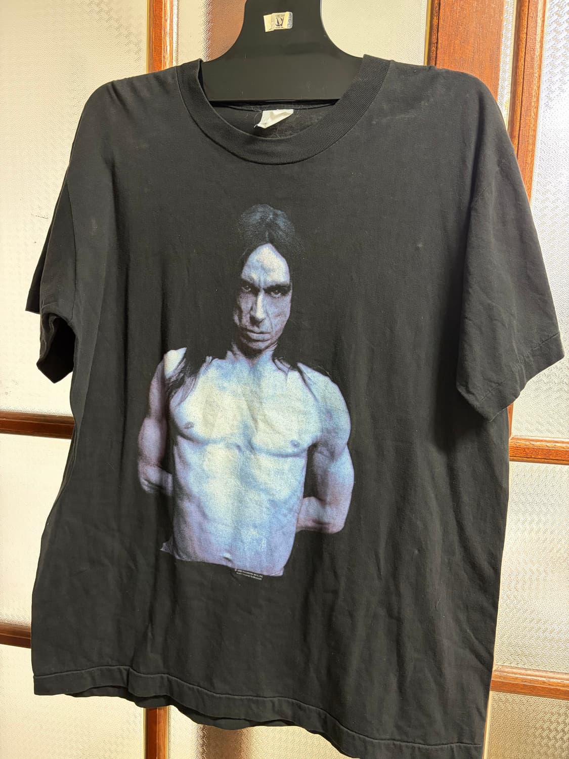 Iggy pop 1993 상품이미지1