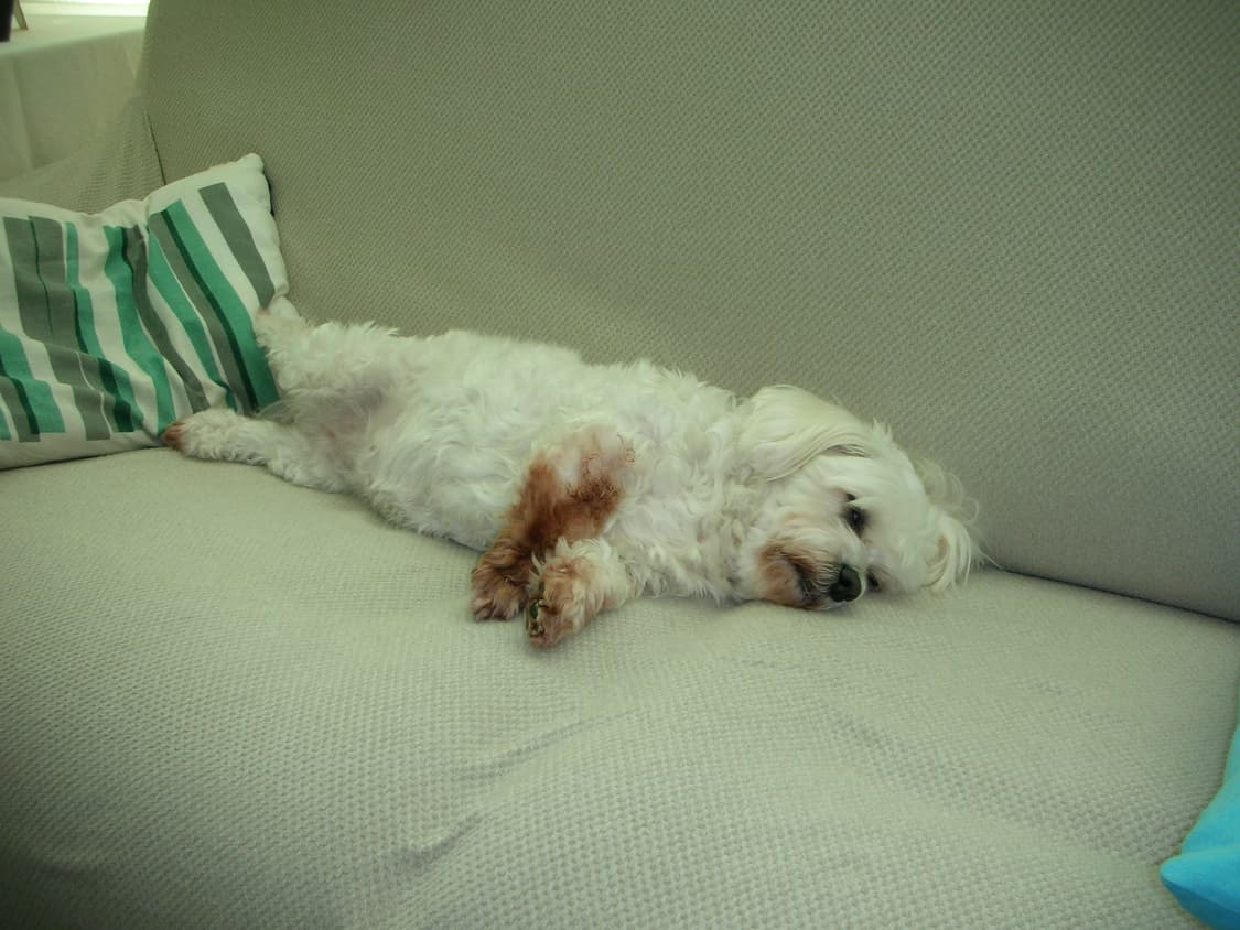 쿨픽스s1 빈티지디카 판매 상품이미지9