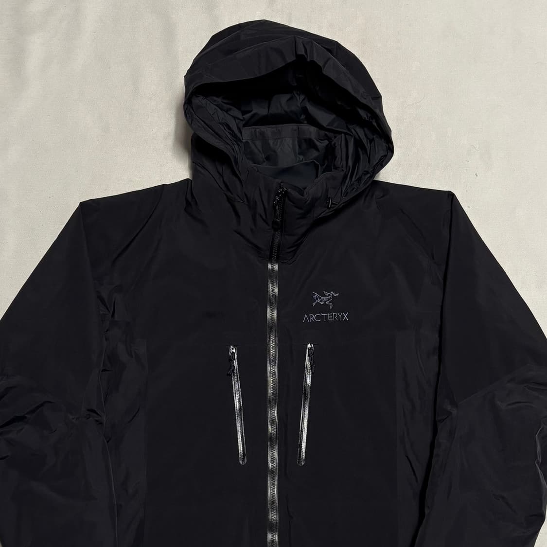 L 아크테릭스 피션 sv 고어텍스 패딩 상품이미지1