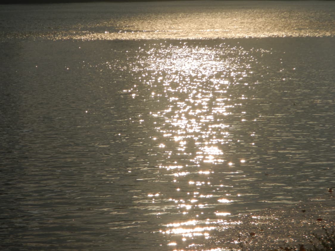 니콘 쿨픽스 aw100 카모 디카 디지털카메라 상품이미지8