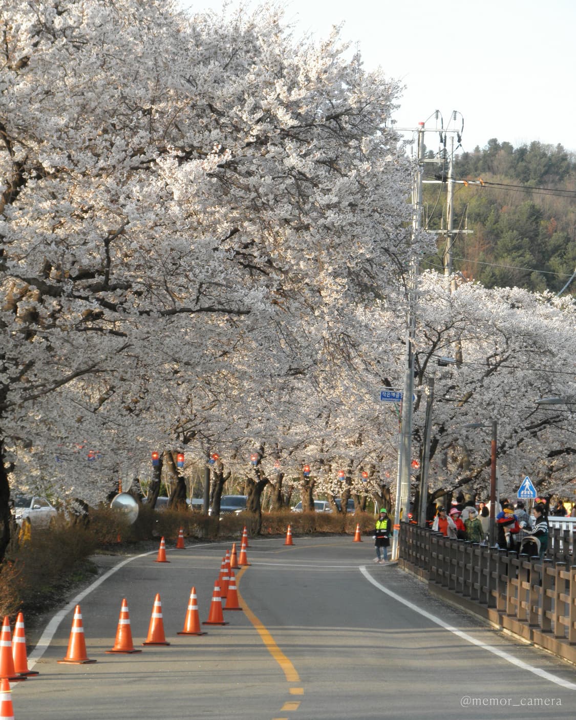 하투하 이안님 사용/인물컷추천♥️Olympus μ-7040 올림푸스 디카 상품이미지8