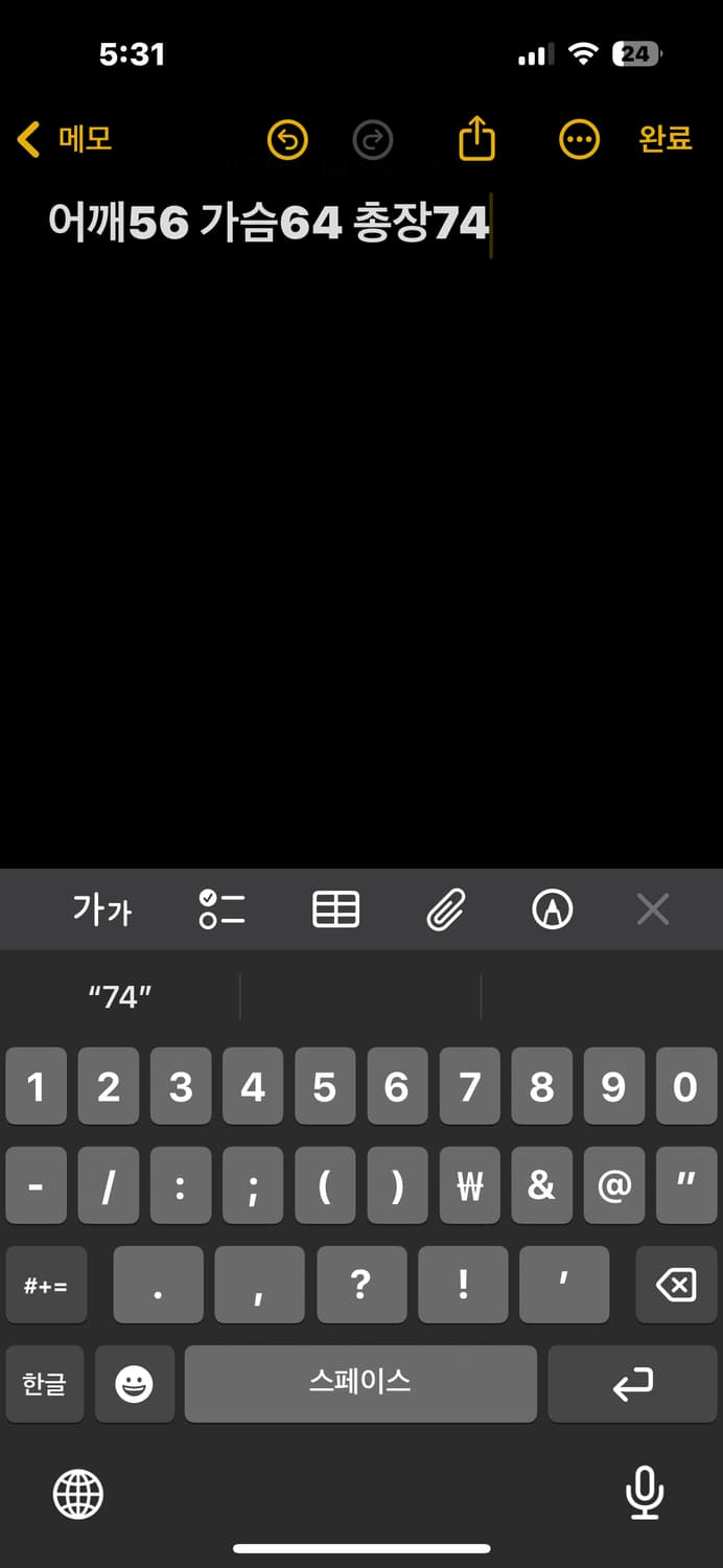노스페이스 써밋 블랙 패딩 상품이미지5
