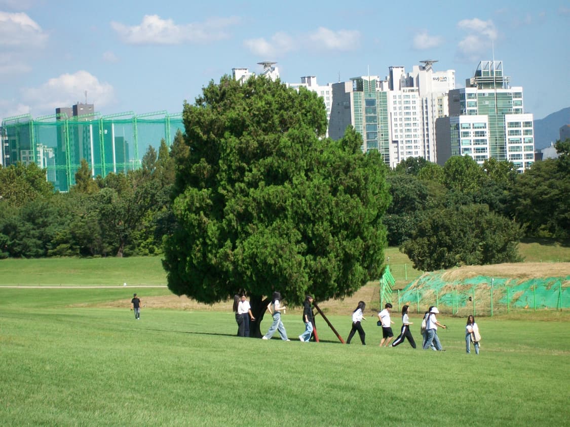 필름색감&강추!) Kodak Easyshare V1003 디카 카메라 상품이미지3