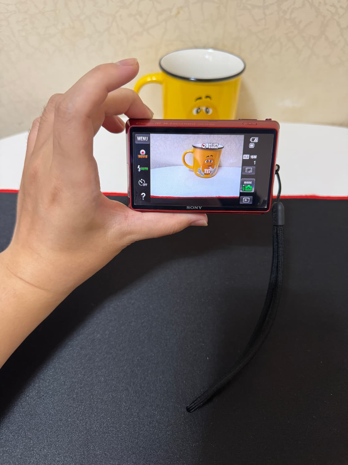 소니 사이버샷 dsc-tx100v 상품이미지3