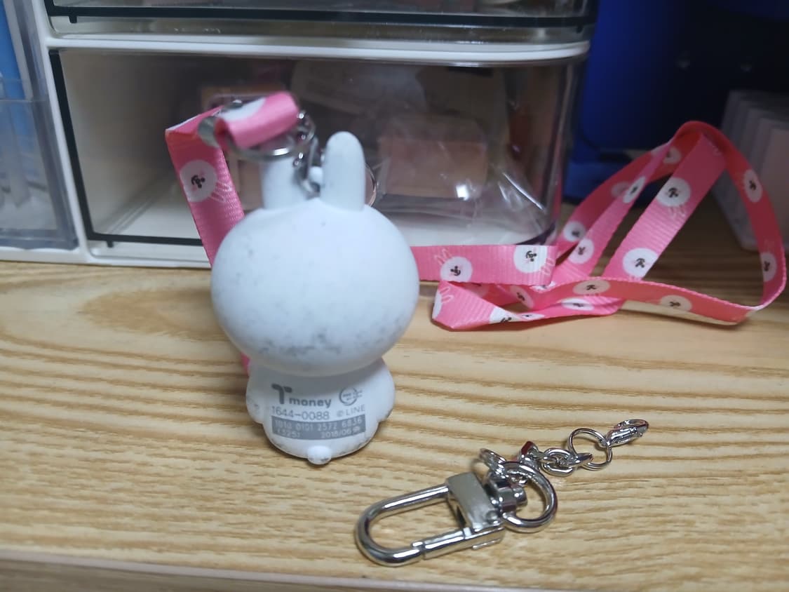 라인프렌즈 티머니(교통 카드)팝니다 상품이미지2