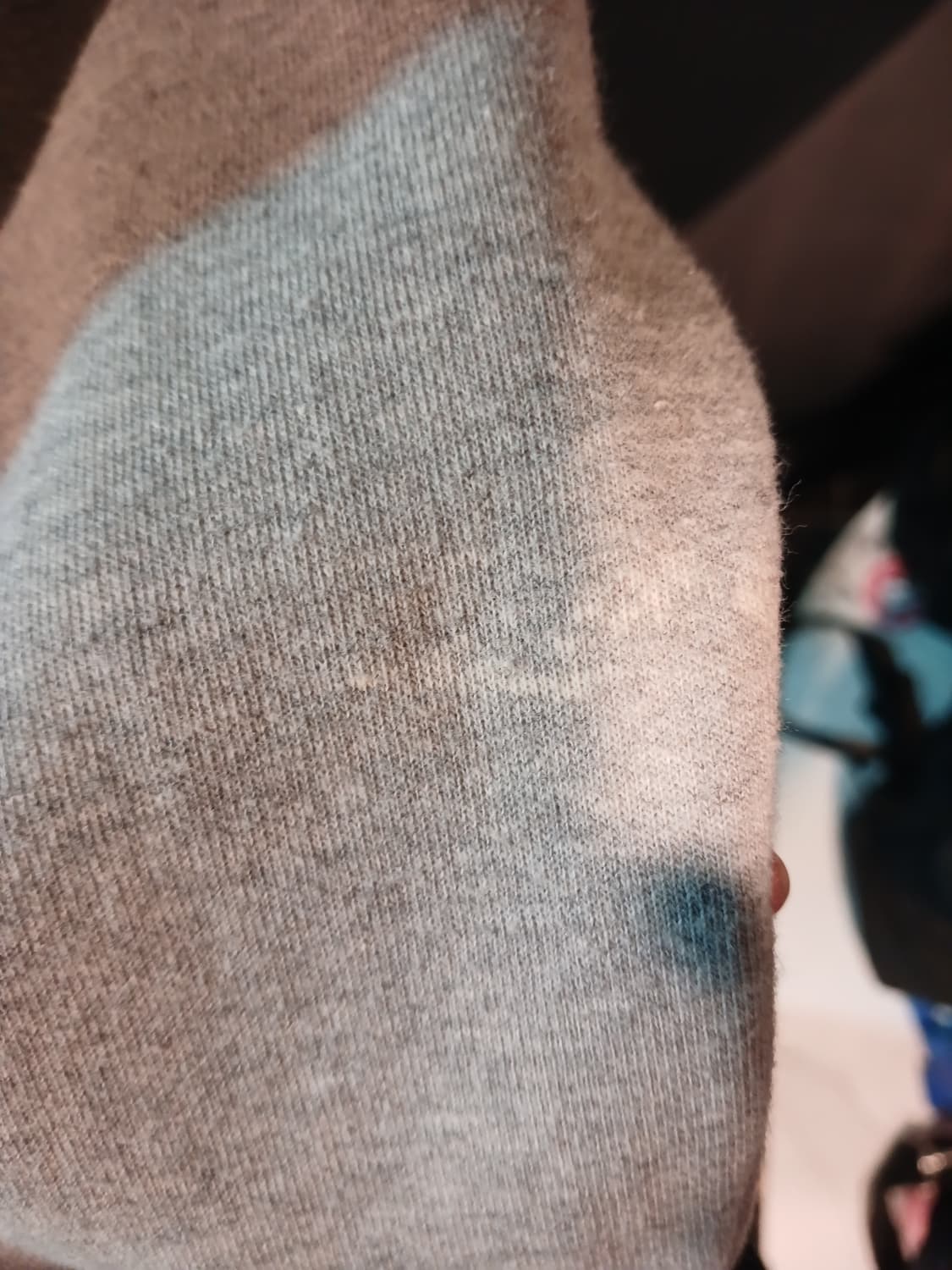 베어비어 맨투맨 상품이미지4