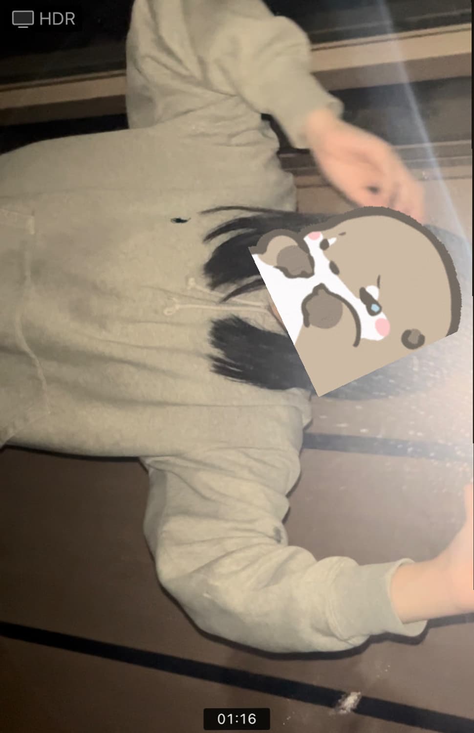 폴로 후드티 상품이미지3