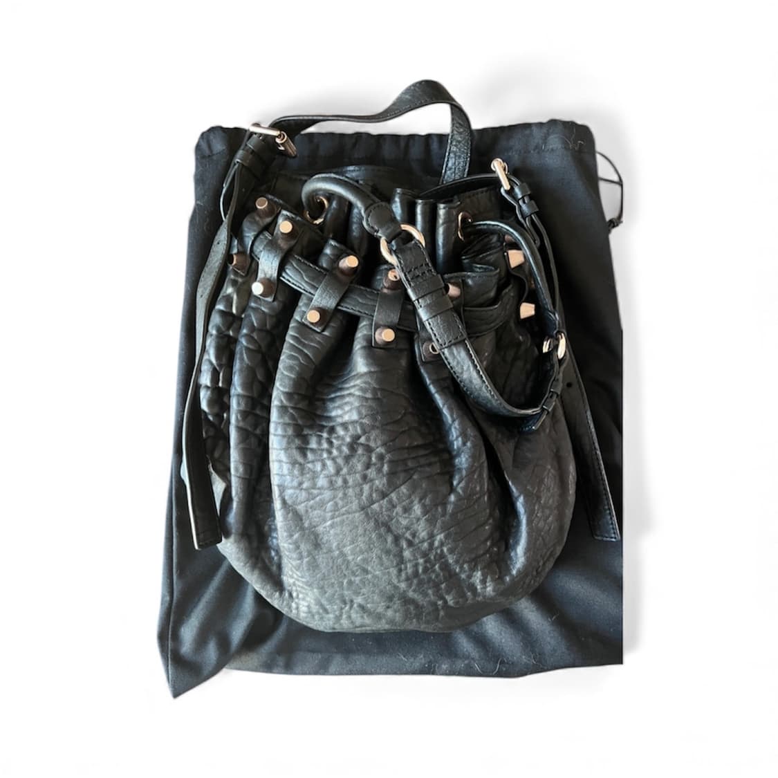 알렉산더왕 디에고 버킷백 2가지 색상 상품이미지1